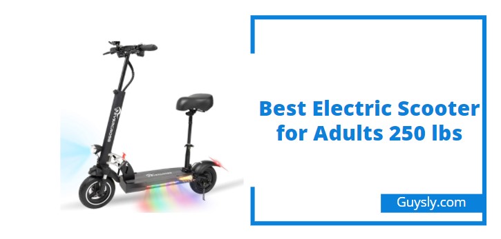 Best Electric Scooter for Adults 250 lbs